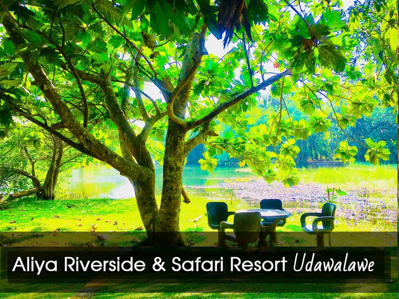 Aliya Riverside & Safari Resort Udawalawe Exteriör bild