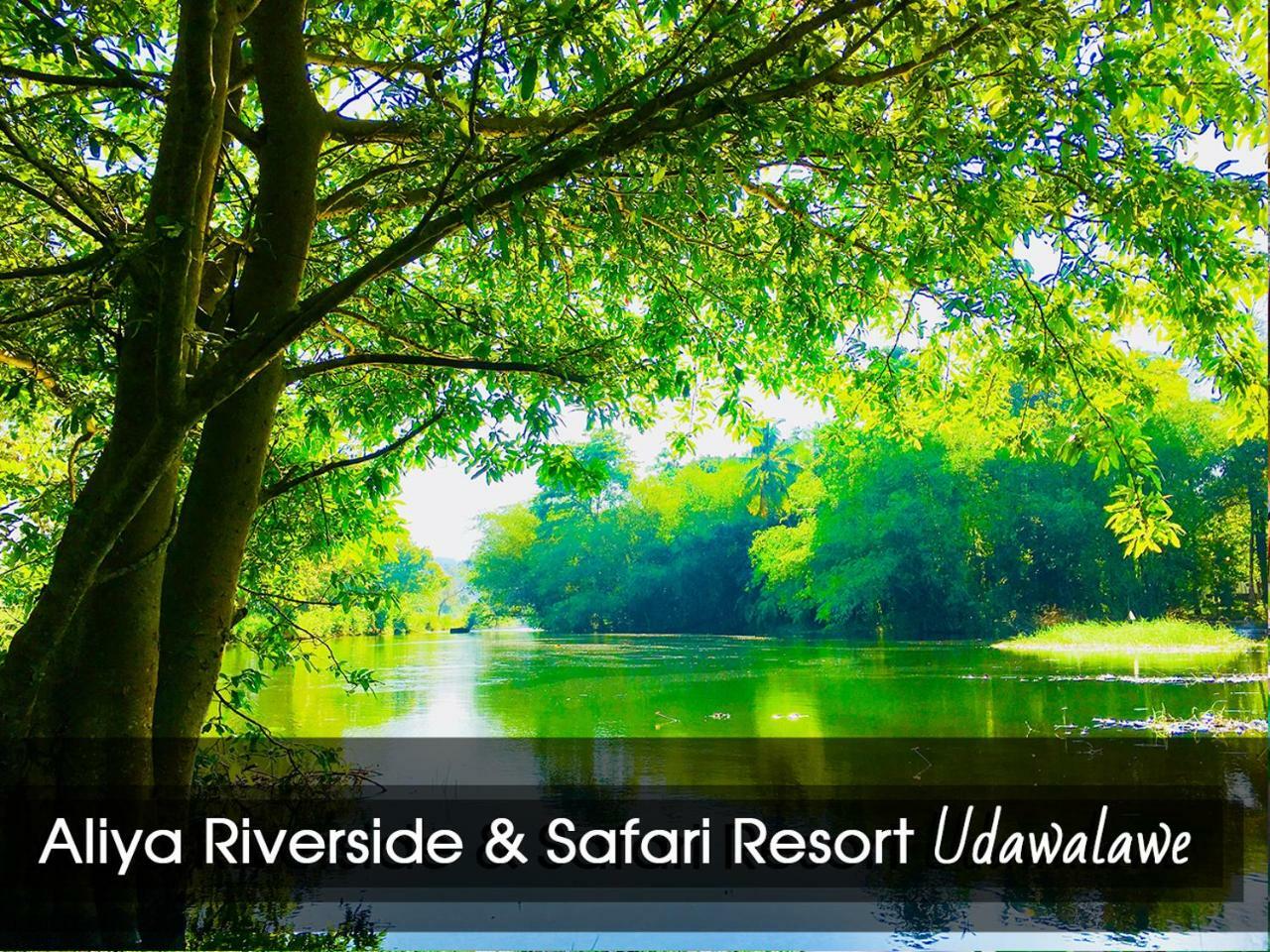 Aliya Riverside & Safari Resort Udawalawe Exteriör bild