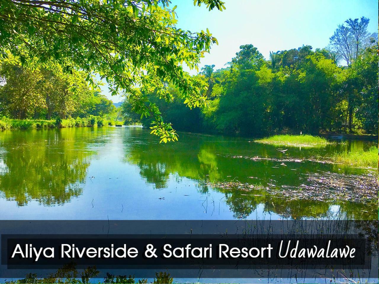 Aliya Riverside & Safari Resort Udawalawe Exteriör bild