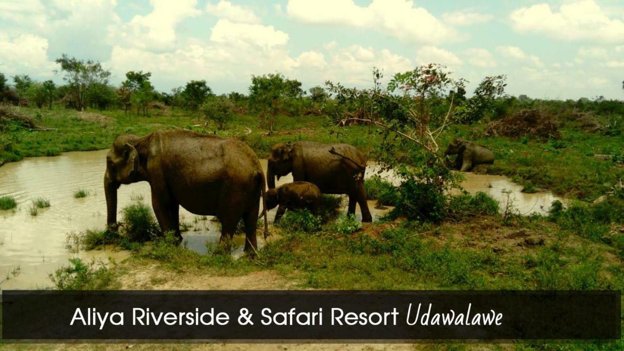 Aliya Riverside & Safari Resort Udawalawe Exteriör bild