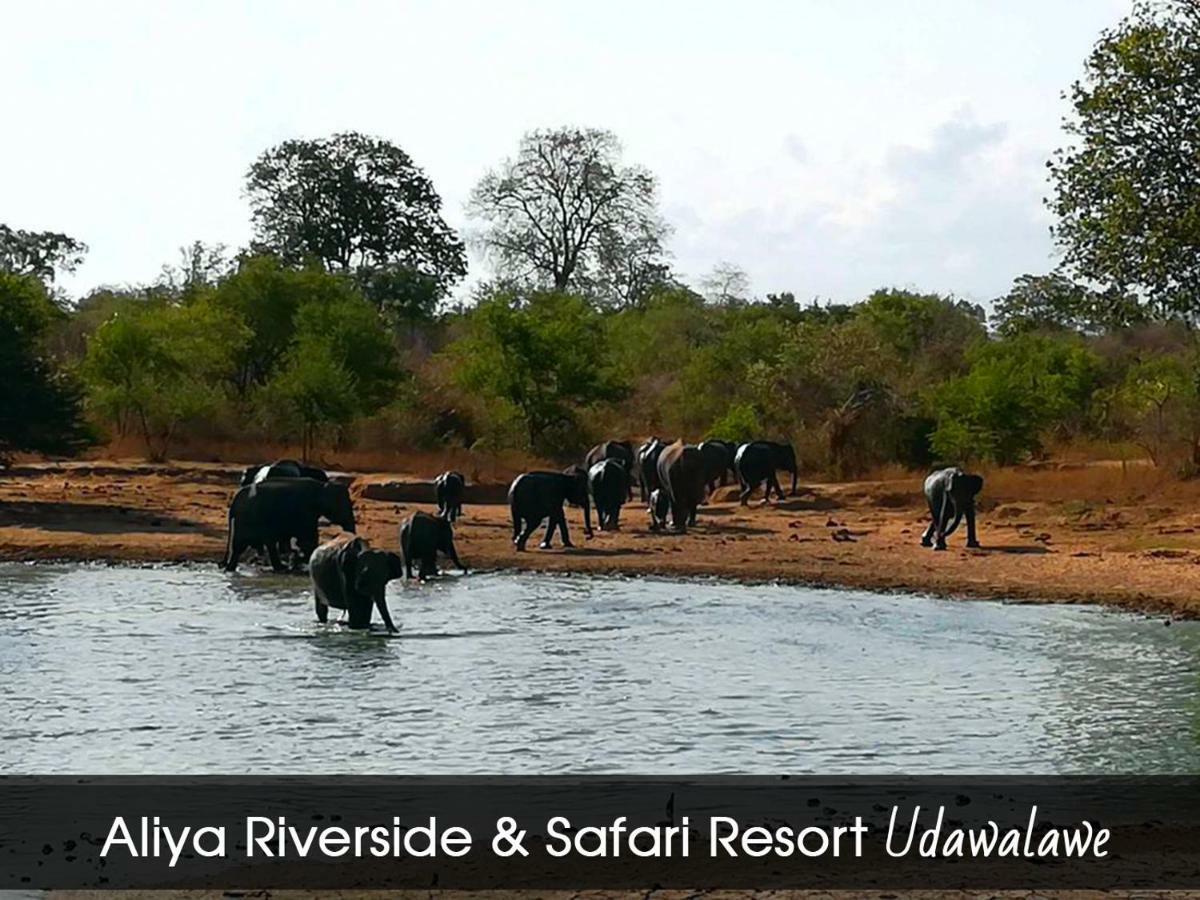Aliya Riverside & Safari Resort Udawalawe Exteriör bild