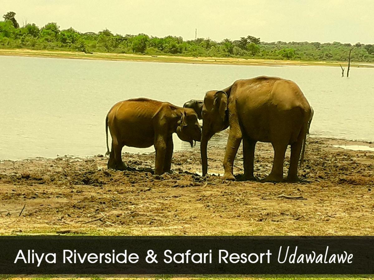 Aliya Riverside & Safari Resort Udawalawe Exteriör bild