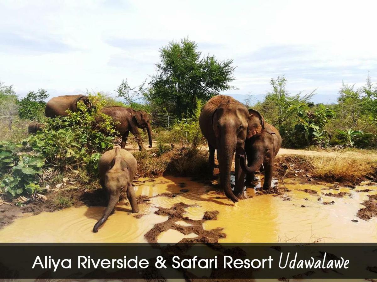 Aliya Riverside & Safari Resort Udawalawe Exteriör bild
